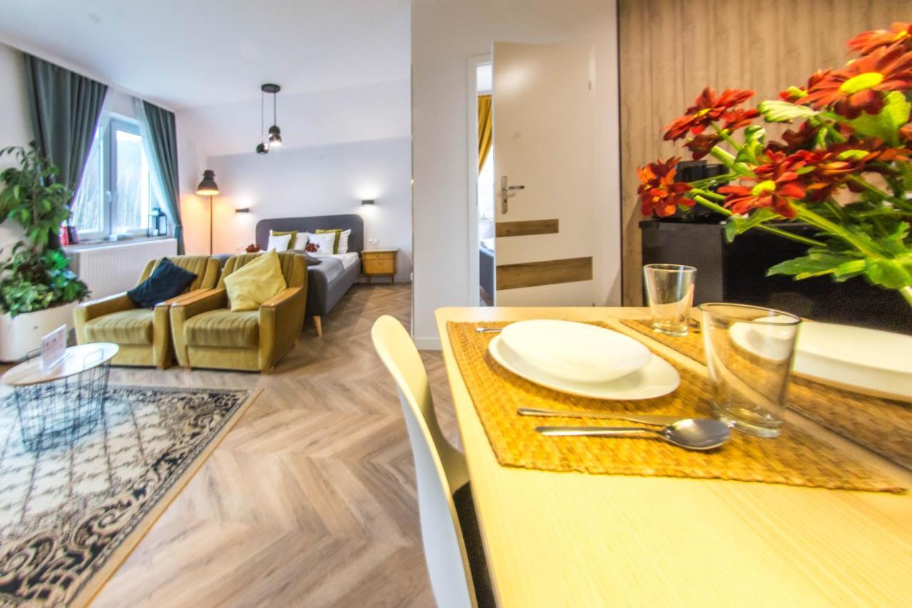 Apartamenty Izerskie - Ul. Cicha 13H-I Świeradów-Zdrój 外观 照片