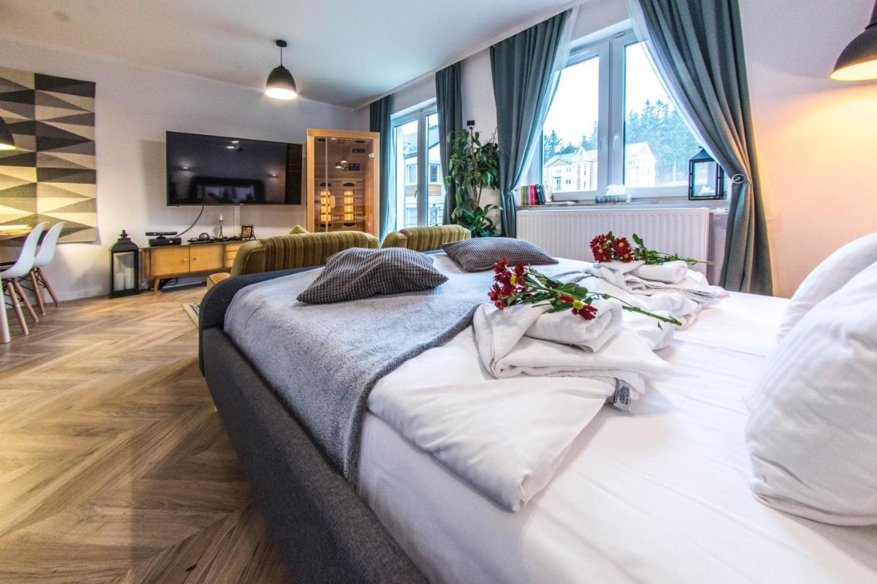 Apartamenty Izerskie - Ul. Cicha 13H-I Świeradów-Zdrój 外观 照片