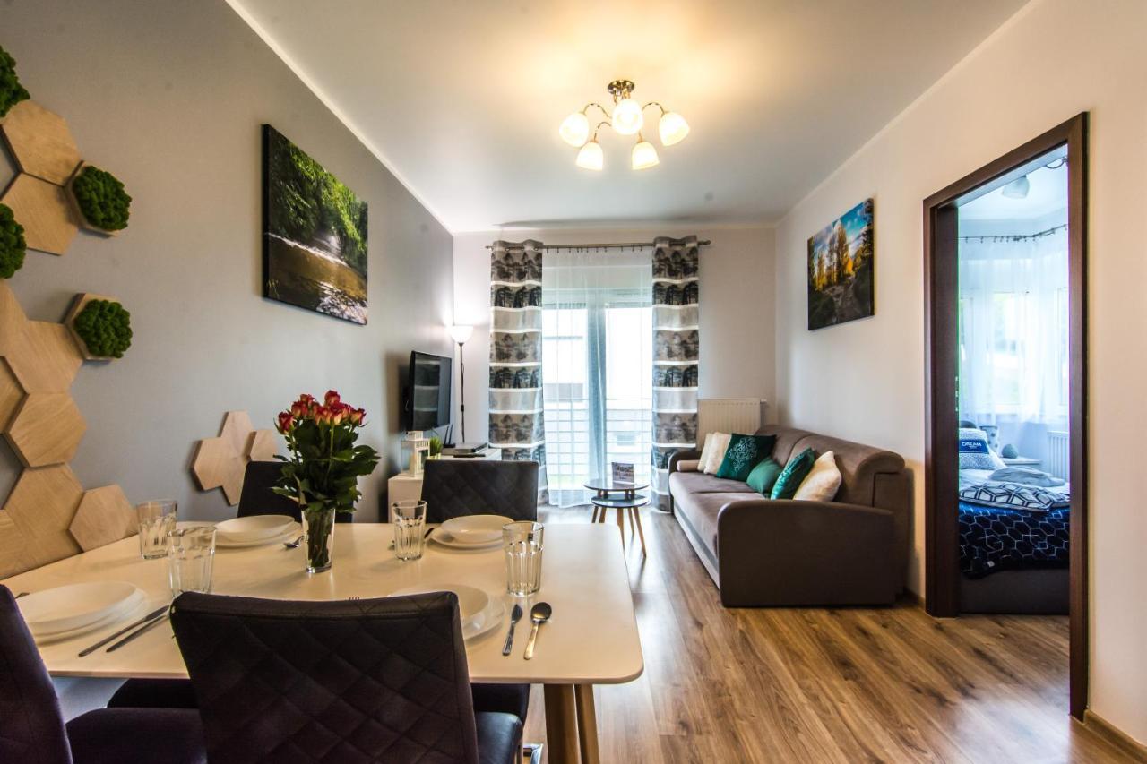 Apartamenty Izerskie - Ul. Cicha 13H-I Świeradów-Zdrój 外观 照片